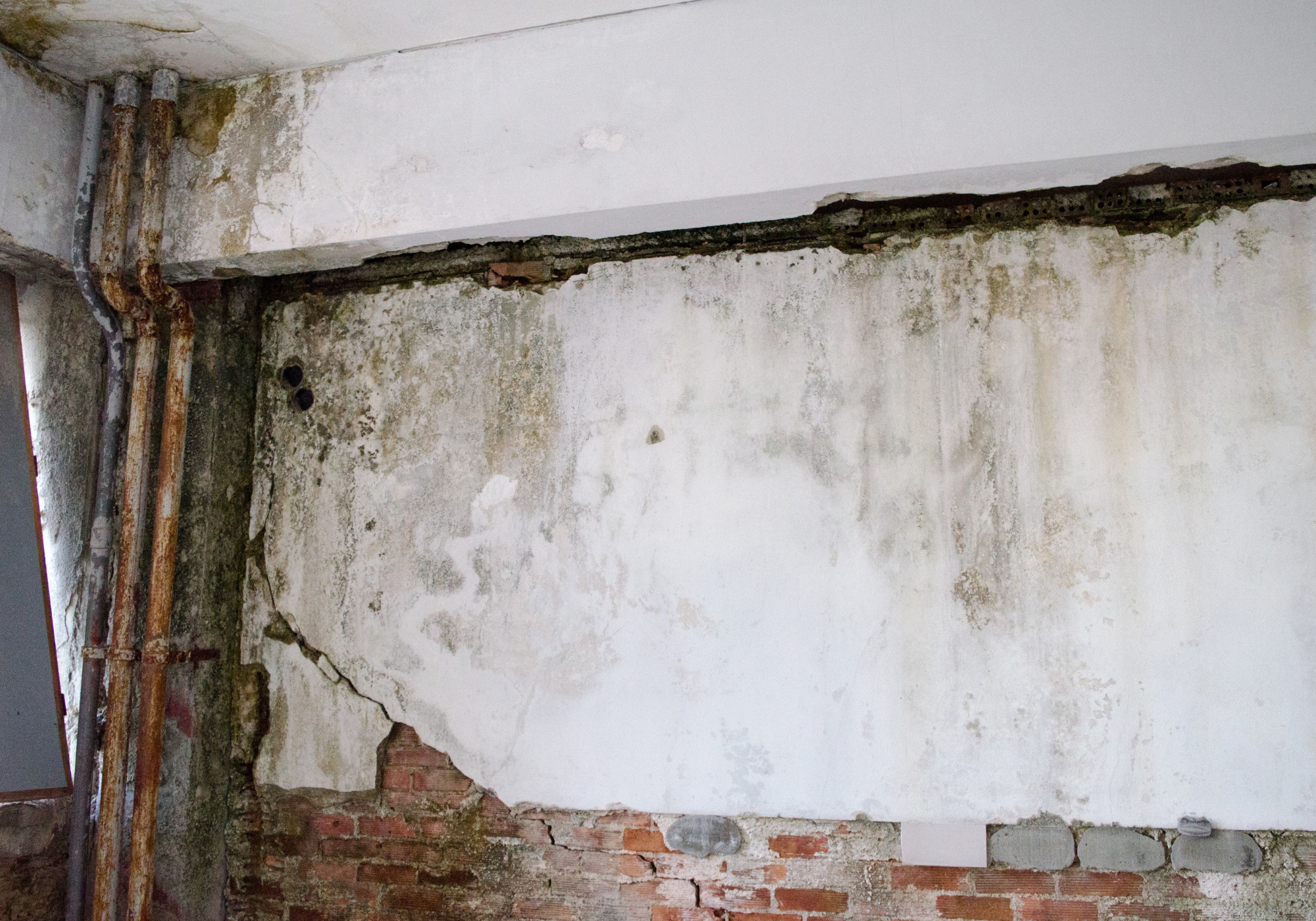 DILIGENT Home Inspectors Inspections mold moldy tests mold screeningpools hot tub inspections hot tub test Nashville