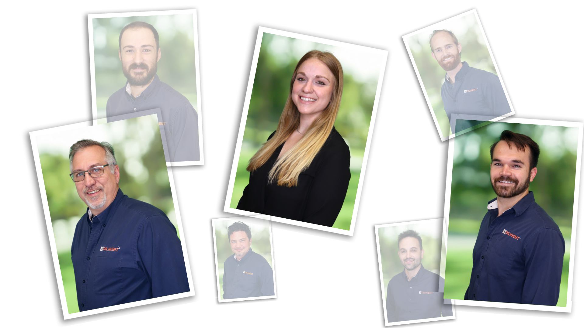 meet the team