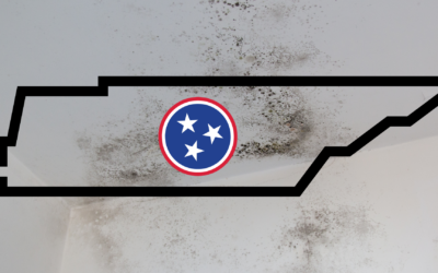 Mold, Moisture, and Home Inspections in Nashville: What You Need to Know