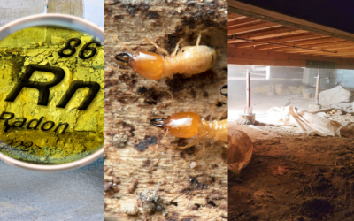 Radon, Termites, and Crawlspaces: Why Middle Tennessee Homes Need Extra Attention