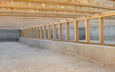 Crawlspace Conditions in Middle Tennessee: What Homeowners Need to Know About Seasonal Moisture and Humidity