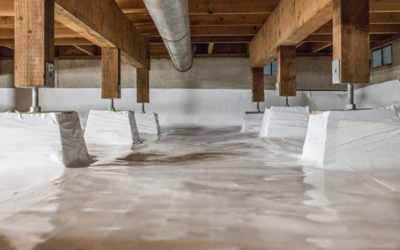 What’s That Plastic in the Crawlspace? Understanding Vapor Barriers in Middle Tennessee Homes