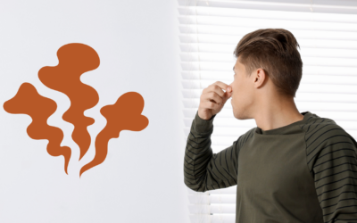The “Musty” Truth: Is that Basement Smell Actually Mold?